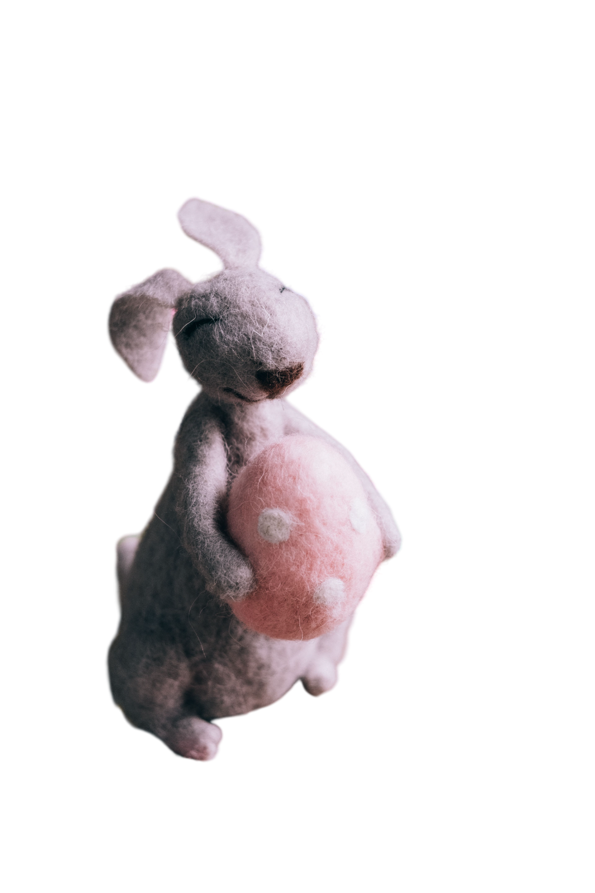Kangaroo