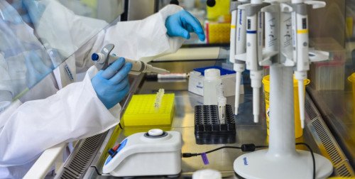 Áttörő siker – Új koronavírus-variánst fedeztek fel a TritonLife csoport laboratóriumában